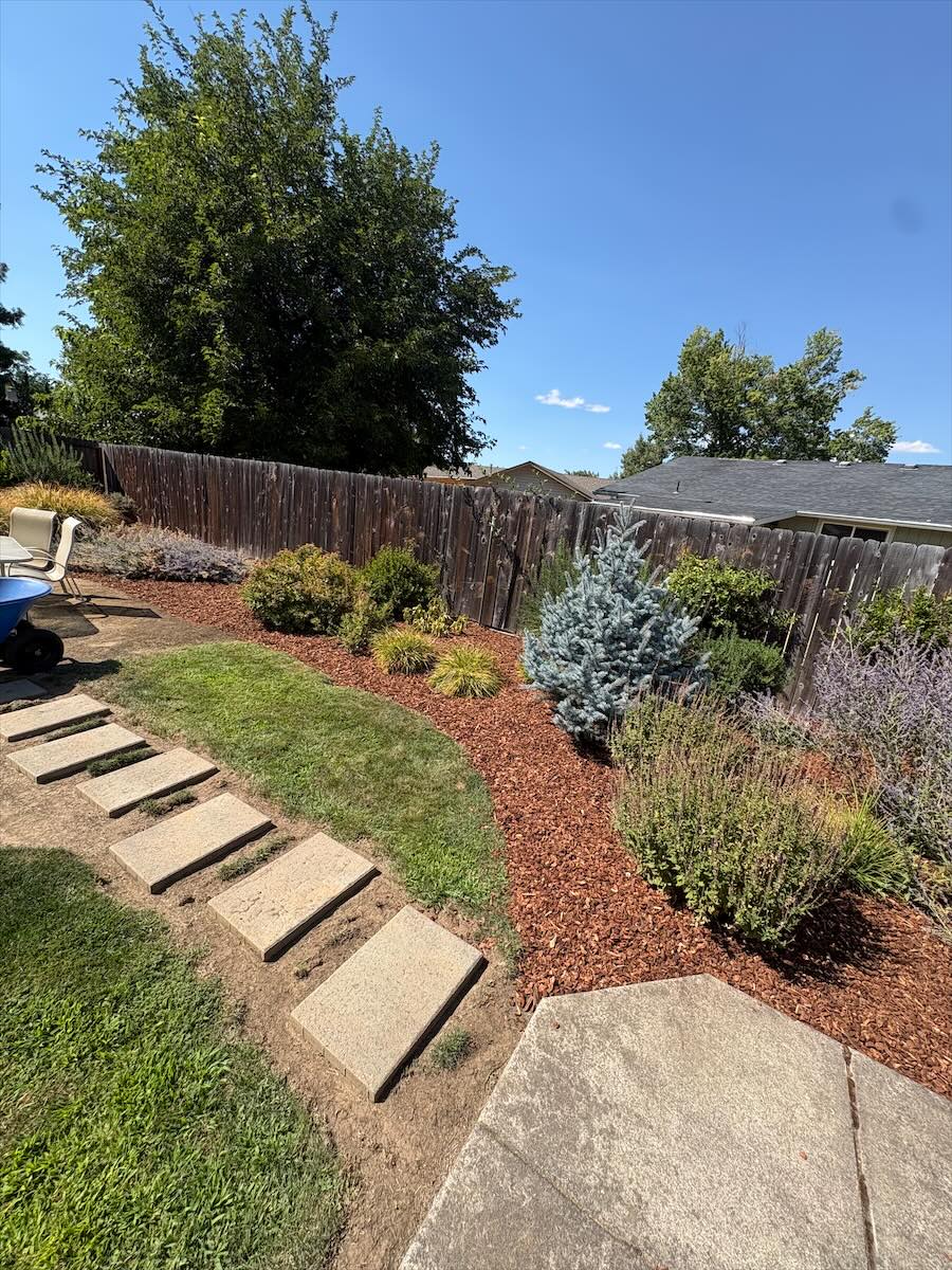 Mulched planting bed with shrubs next to a lawn and a stepping stone path