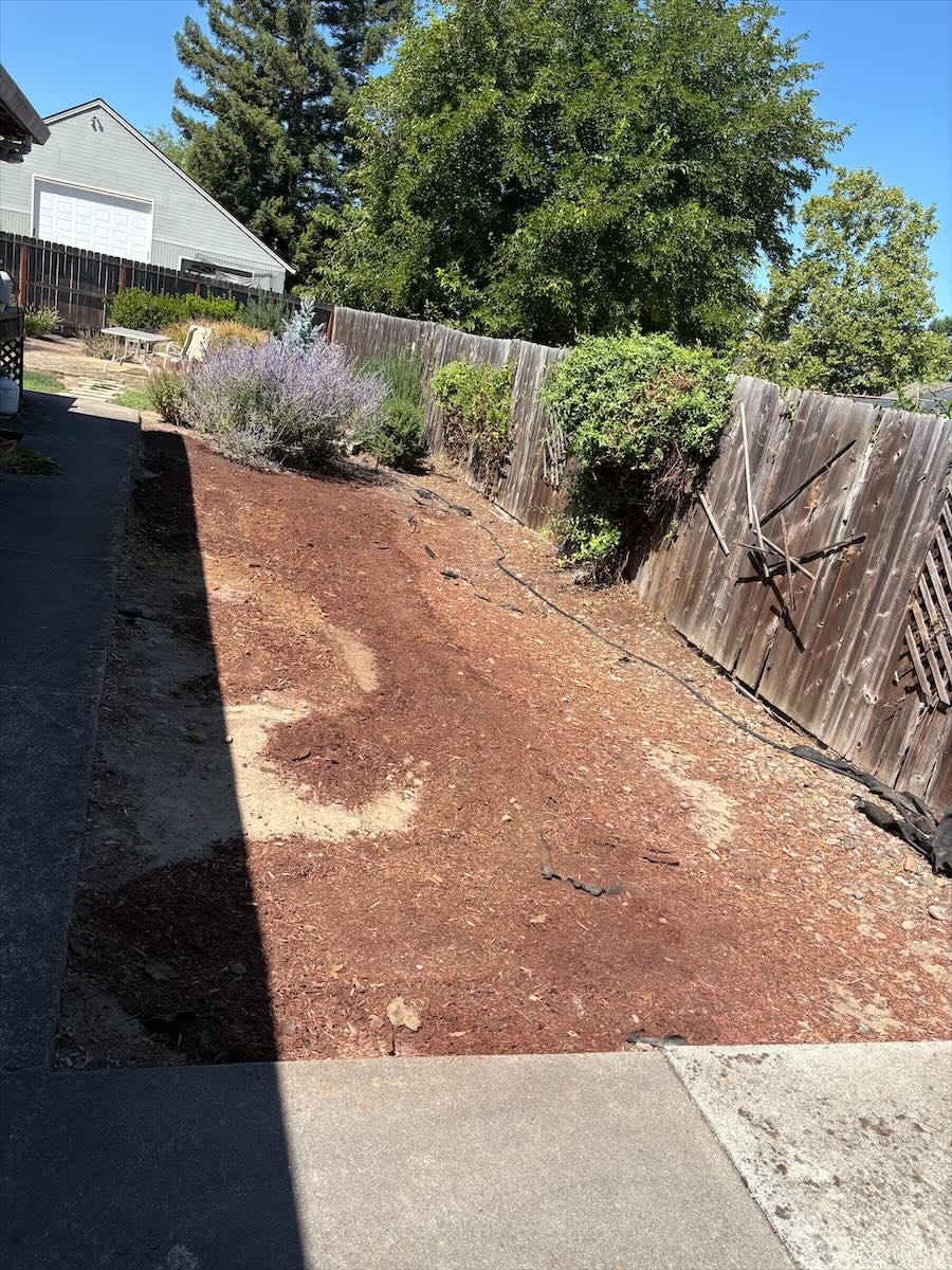 Cleared strip of bare ground between a concrete walkway and a wood fence
