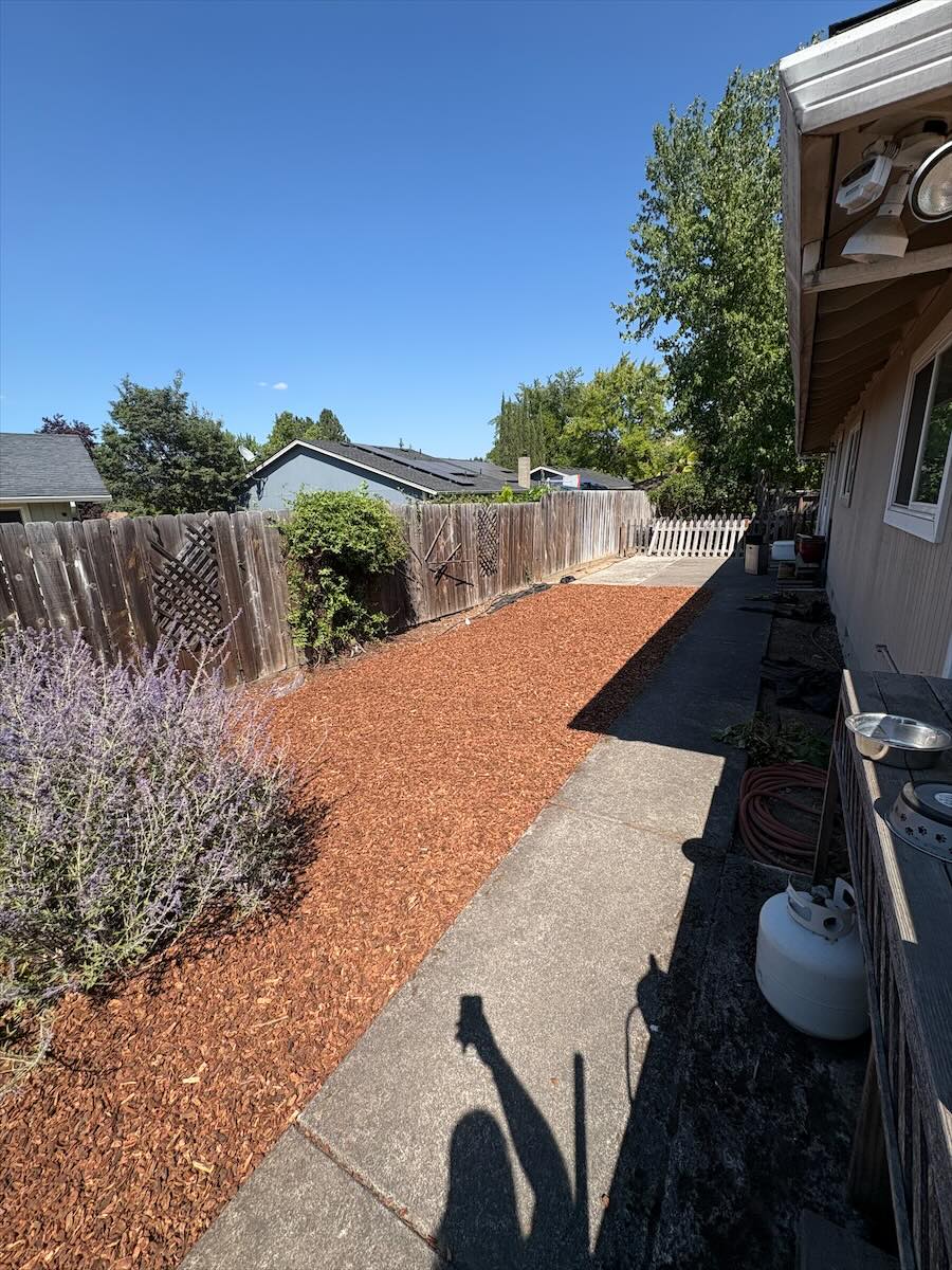 Side yard strip covered in fresh mulch beside a concrete walkway and a wood fence