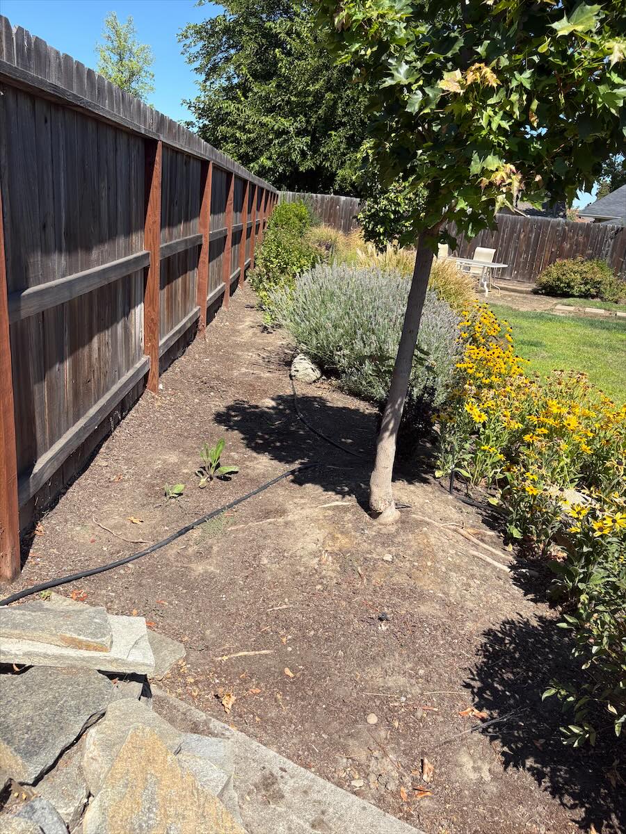 Bare soil along a wood fence after underbrush clearing, with a young tree and flowering plants